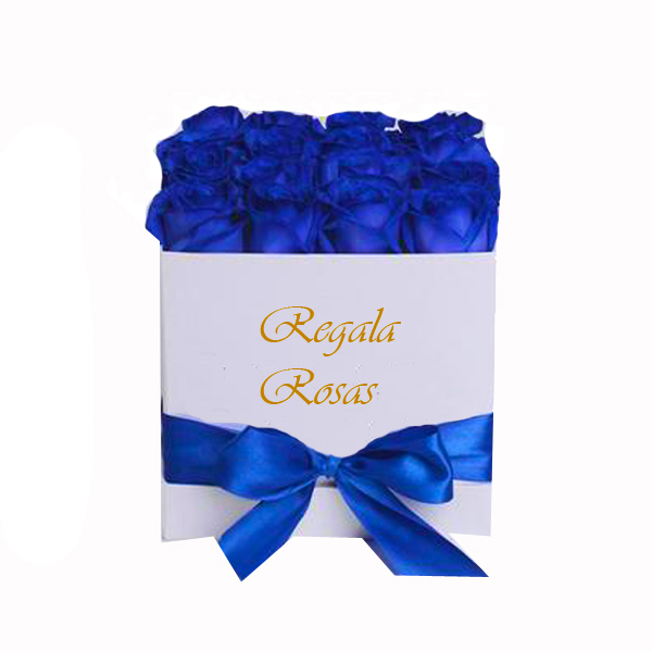 Caja con 24 Rosas Azules a domicilio en santiago